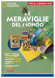 Volantino Il Punto Sigma Pagina 6