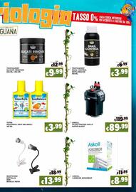 Volantino Zoomiguana Pagina 11