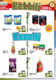 Volantino Zoomiguana Pagina 9