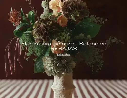 Catálogo Westwing (válido hasta el 20-11)