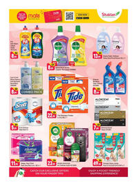 Shaklan leaflet Page 10