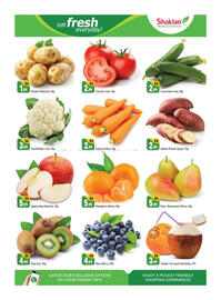 Shaklan leaflet Page 2