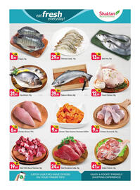 Shaklan leaflet Page 3