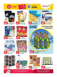 Shaklan leaflet Page 5