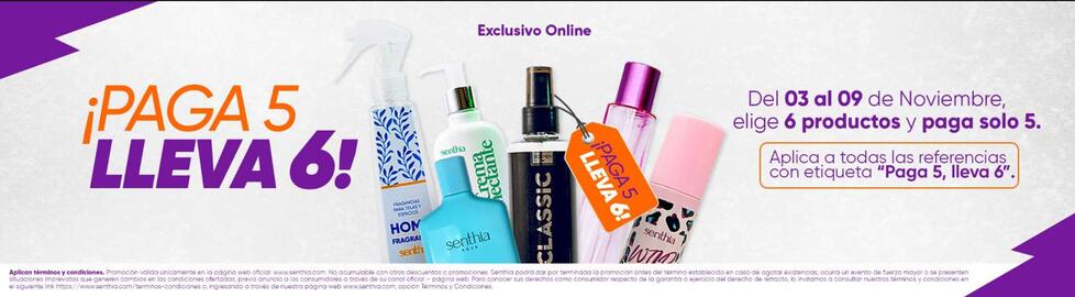 Catálogo Senthia Página 1