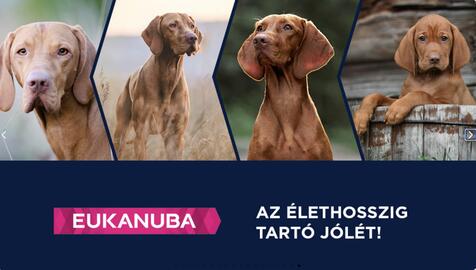 Alpha Zoo akciós újság Oldal 18