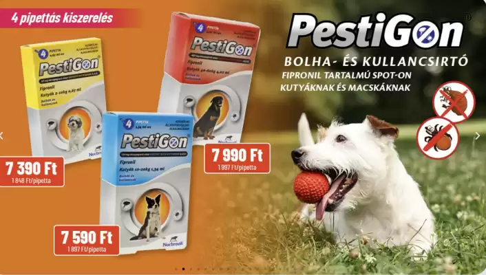 Alpha Zoo akciós újság (érvényes eddig: 20-11)