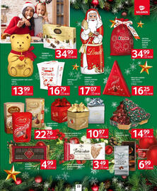 Selgros gazetka Strona 23