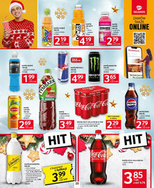 Selgros gazetka Strona 25