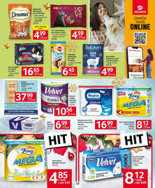 Selgros gazetka Strona 31