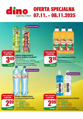Dino gazetka (ważność do 8-11)