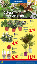 Volantino Lidl Pagina 36
