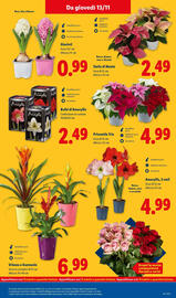 Volantino Lidl Pagina 37