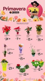 Encarte Giassi Supermercados semana 45 Página 1