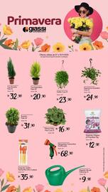 Encarte Giassi Supermercados semana 45 Página 2