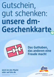 DM DE folder Pagina 6