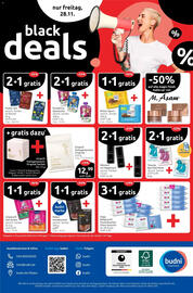 Budni Prospekt woche 48 Seite 12