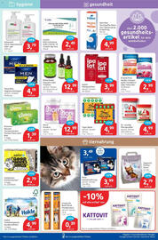 Budni Prospekt woche 48 Seite 6