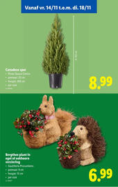 Lidl folder week 46 Pagina 43