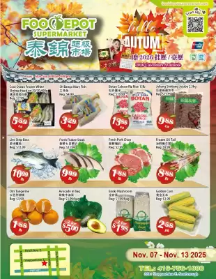 Food Depot Supermarket flyer (valid until 13-11)