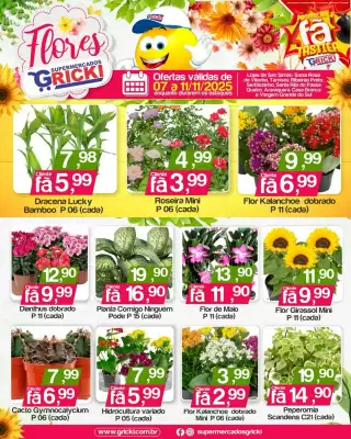 Catálogo Supermercados Gricki (válido até 11-11)