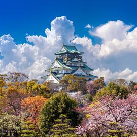 Catálogo Mega Travel semana 45 Página 2