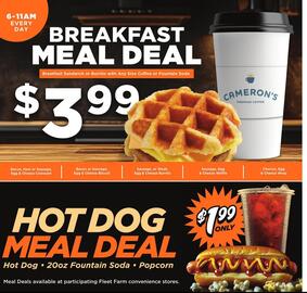 Fleet Farm weekly ad week 45 Page 17