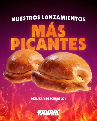 Catálogo Tambo (válido hasta 9-11)