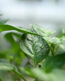 Catálogo Nikon Página 2