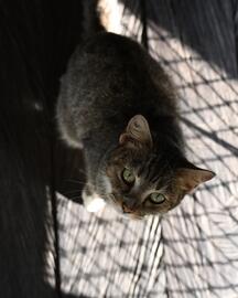 Catálogo Nikon Página 4