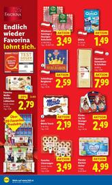Lidl Flugblatt woche 46 Seite 17