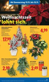 Lidl Flugblatt woche 46 Seite 26