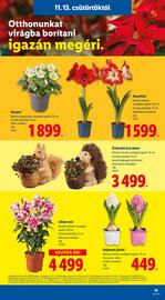 Lidl akciós újság hét 46 Oldal 19