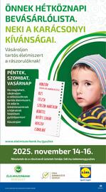 Lidl akciós újság hét 46 Oldal 25