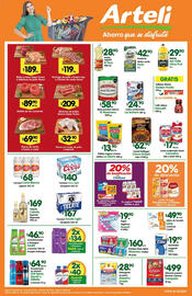 Folleto Arteli Página 1