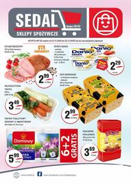 Sedal gazetka Strona 1