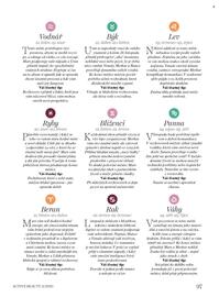 Dm drogerie leták Strana 97