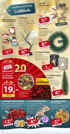 Sonderpreis Baumarkt Prospekt woche 46 Seite 6