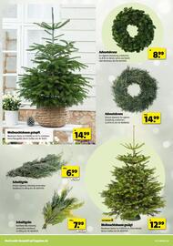 Hagebau Prospekt woche 45 Seite 10