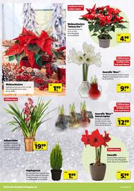 Hagebau Prospekt woche 45 Seite 12