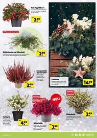 Hagebau Prospekt woche 45 Seite 13