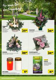 Hagebau Prospekt woche 45 Seite 14