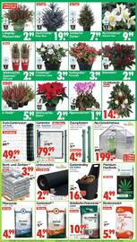 Wreesmann Prospekt woche 46 Seite 8