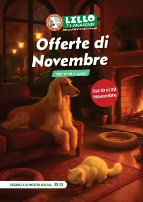 Volantino Lillo e i Vagabondi (valido fino al 28-11)
