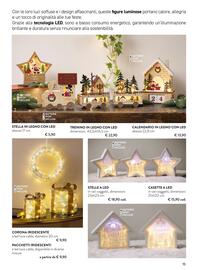 Volantino Florarici Pagina 15