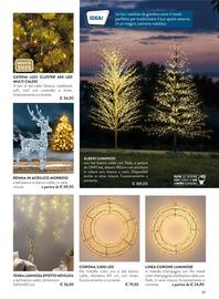 Volantino Florarici Pagina 17