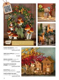 Volantino Florarici Pagina 6