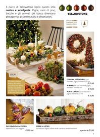 Volantino Florarici Pagina 7