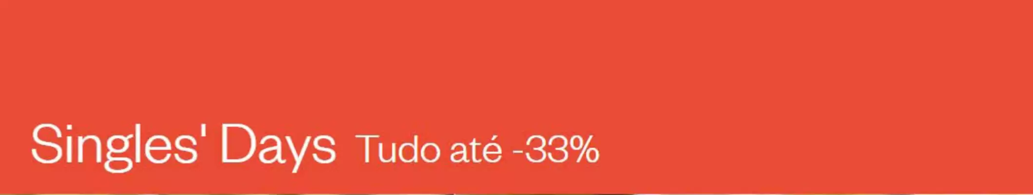 Folheto Desigual (válido até 20-11)