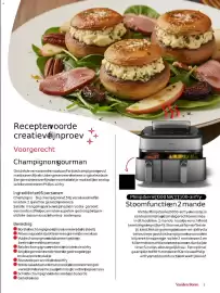 Vanden Borre folder Pagina 17